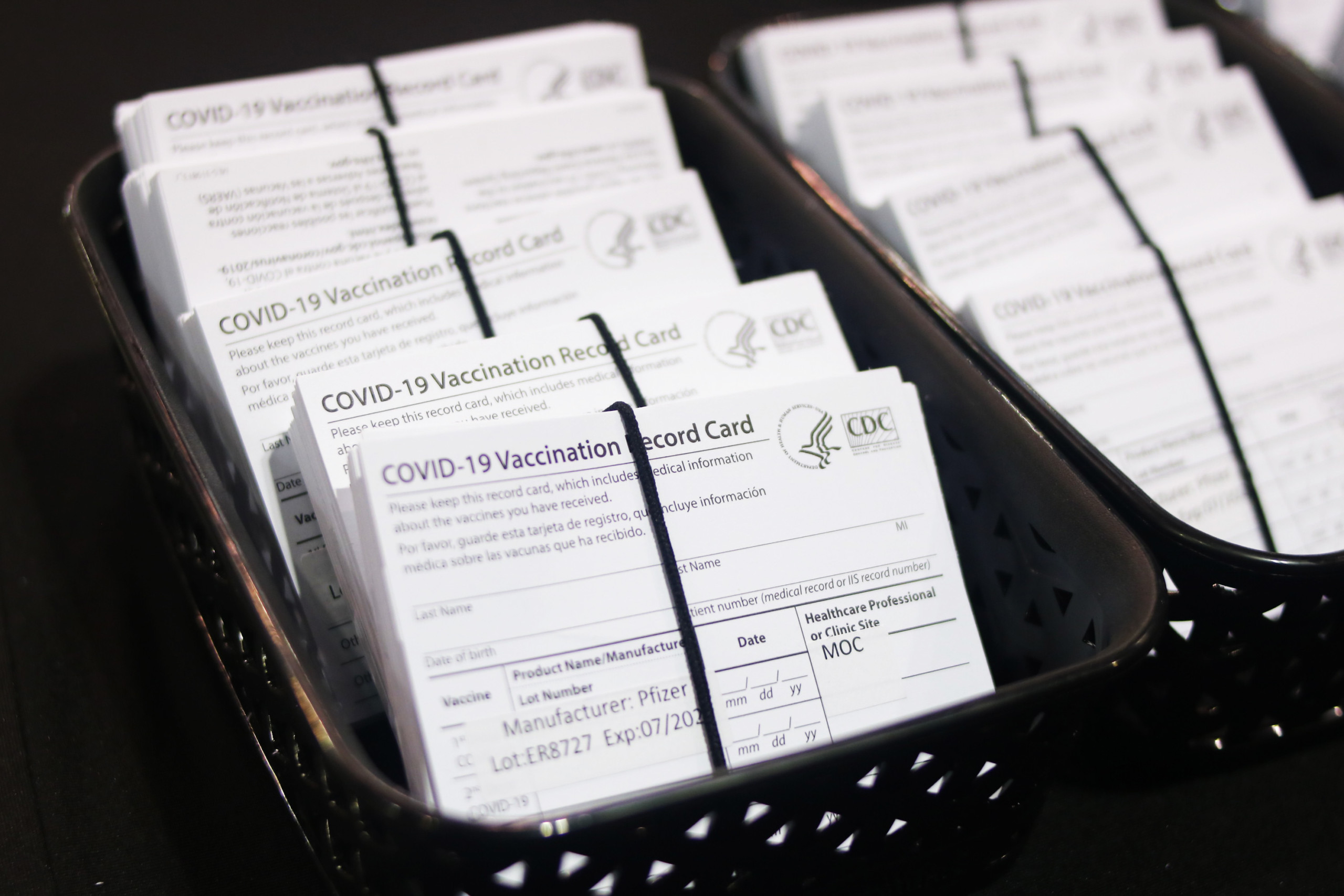 Image showing program activities