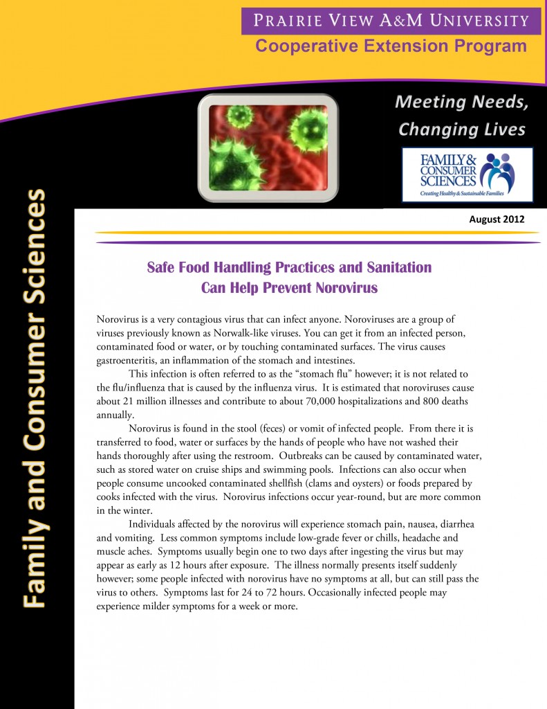 Safe Food Handling Practices and Sanitation Can Help Prevent Norovirus