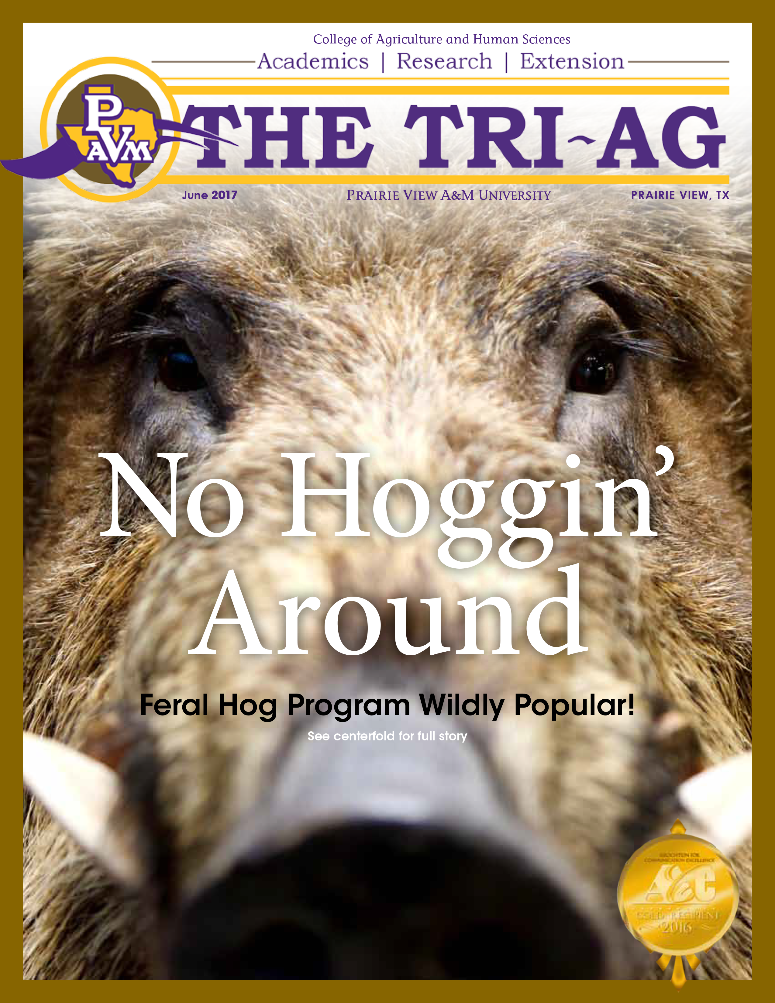 2017 June Triag v.5