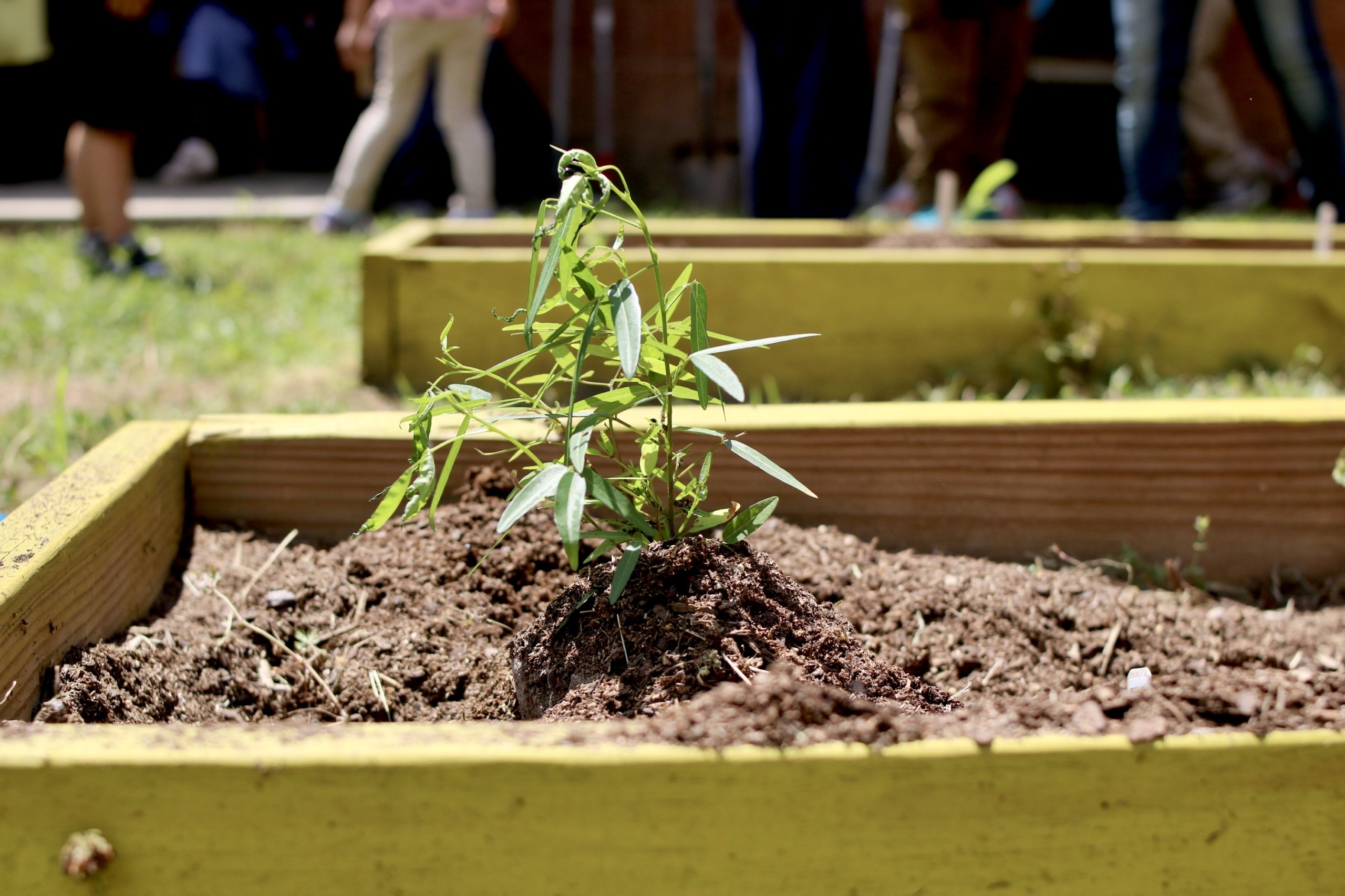 Highland Heights Elementary Garden Clean-Up
