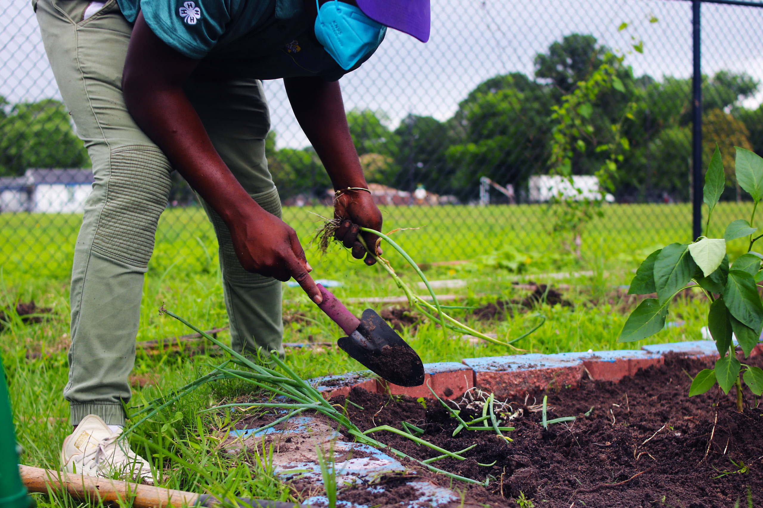 M.C. Williams Elementary Garden Clean-Up