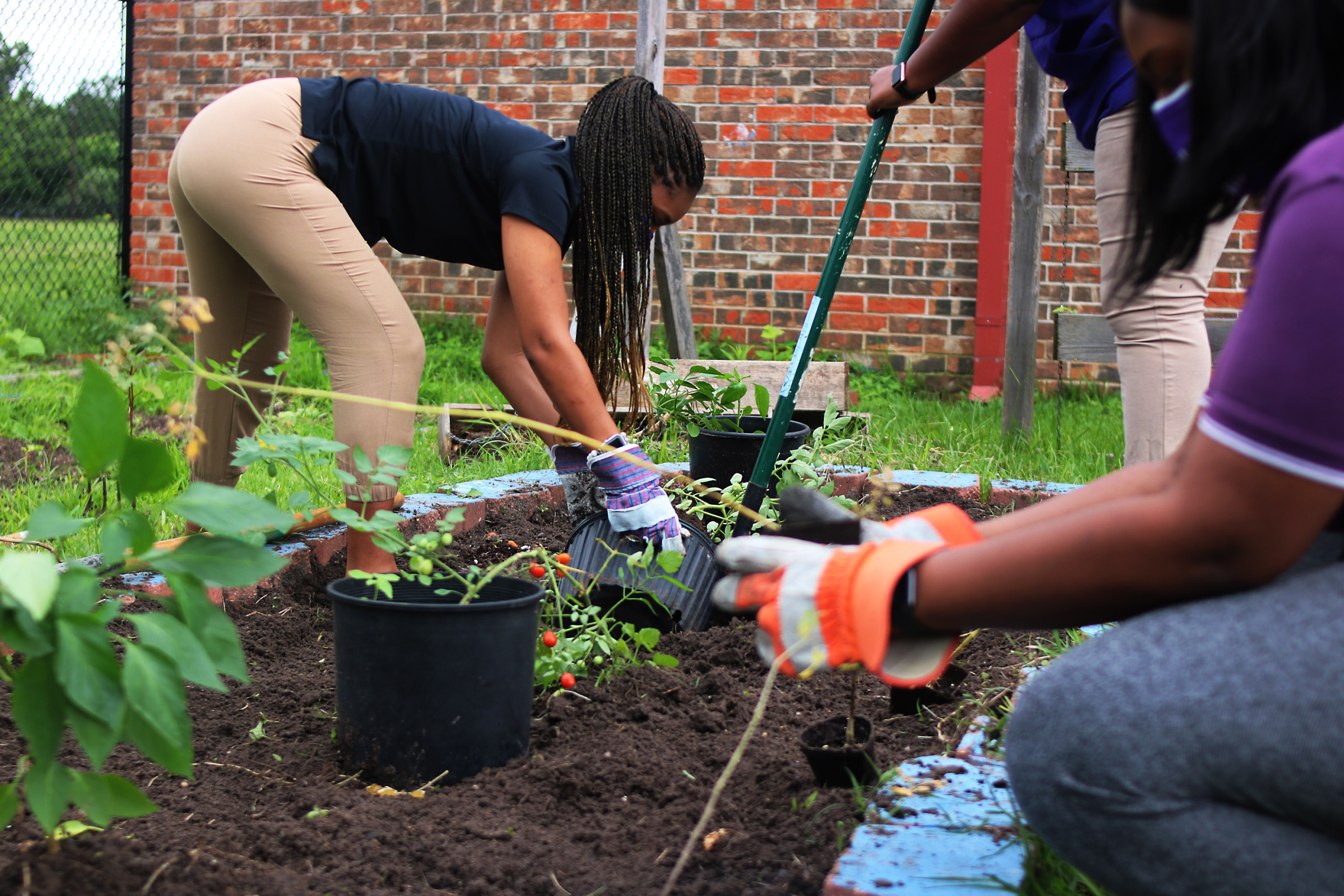 M.C. Williams Elementary Garden Clean-Up