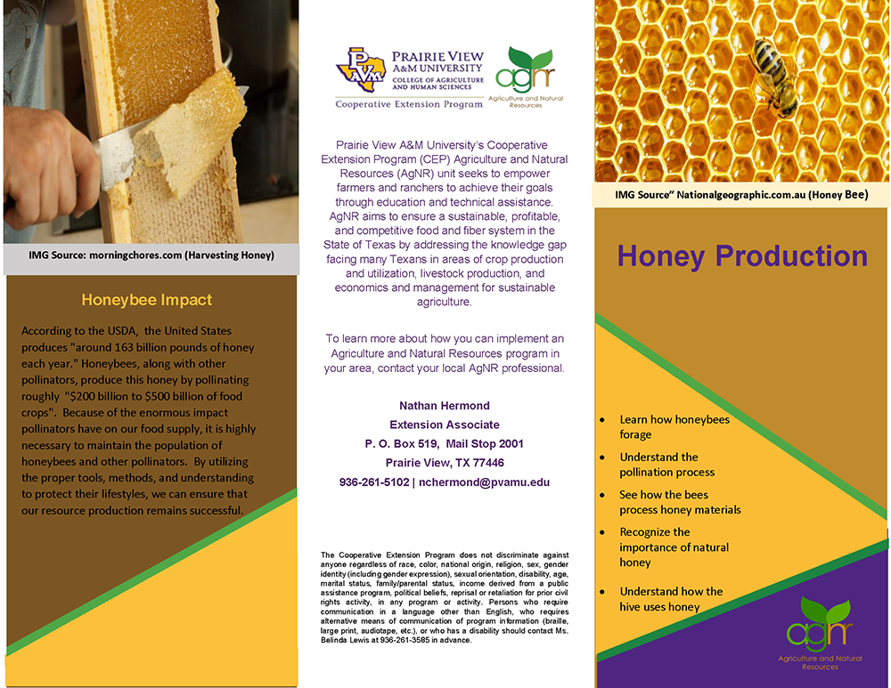 Honey Production