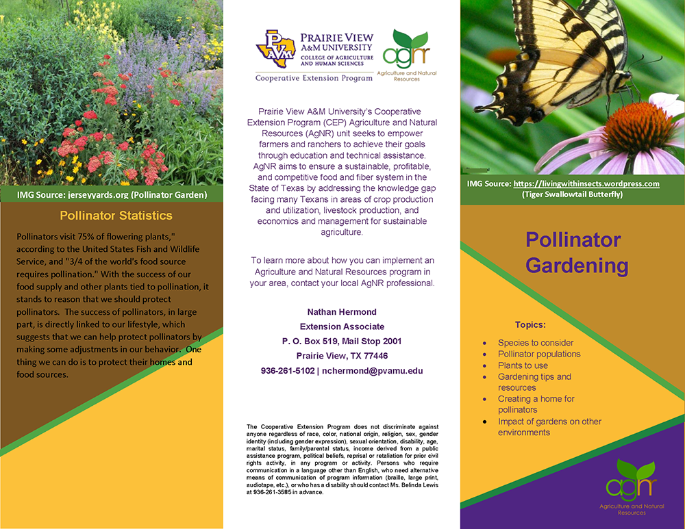 Pollinator Gardening