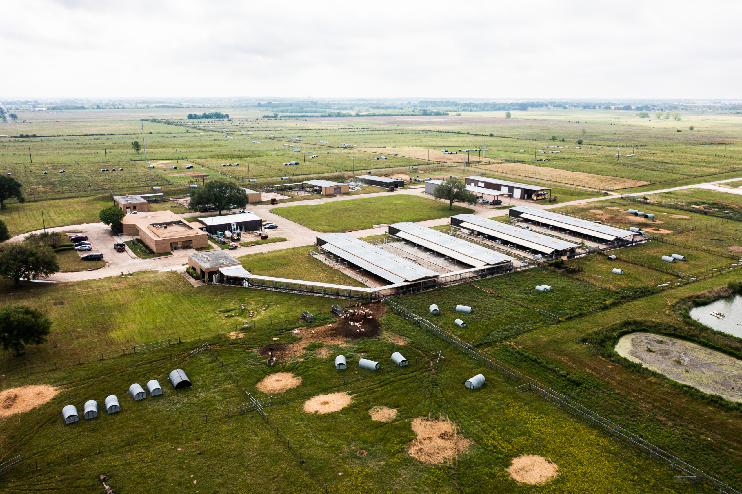 International Goat Research Center