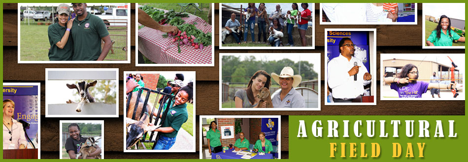 Ag Field Day website Banner Ag Field Day website Banner