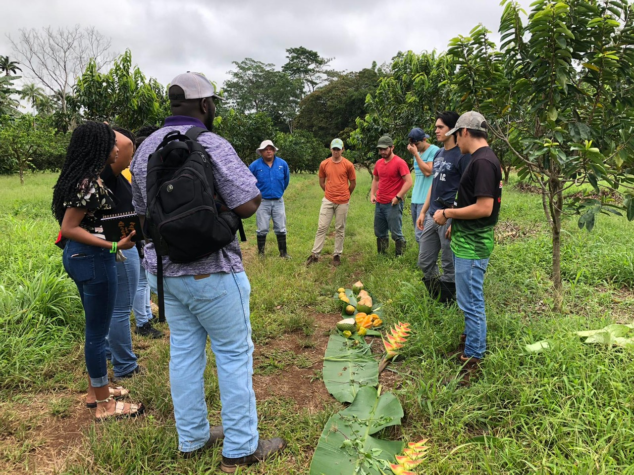 PVAMU In Costa Rica College of Agriculture and Human Sciences