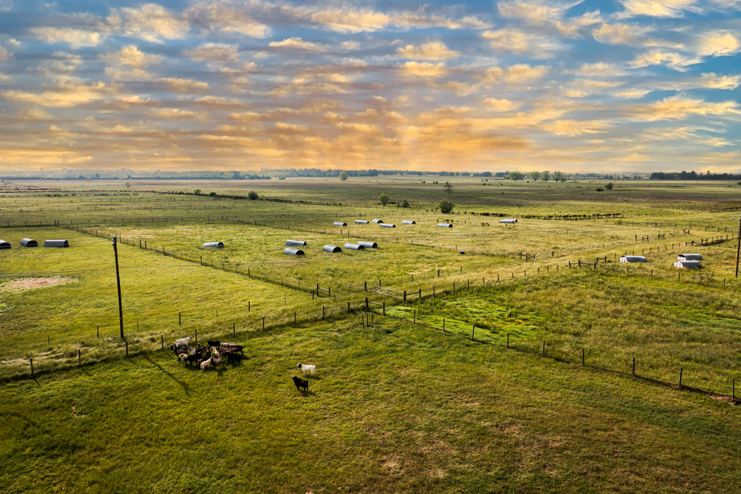 Land Grant University