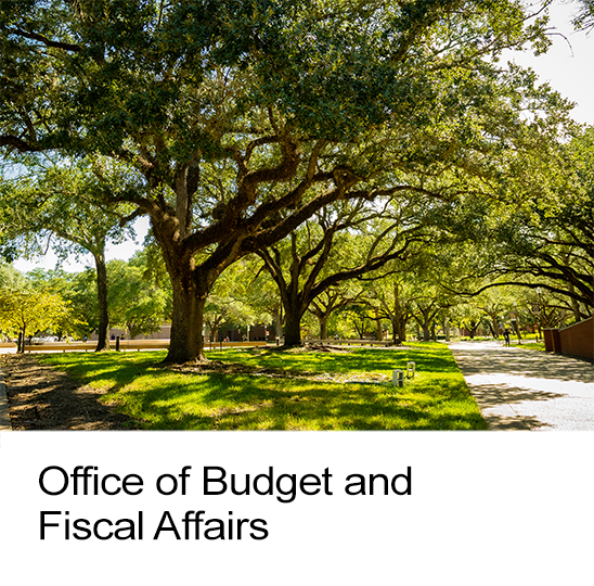 Office of Budget and Fiscal Affairs