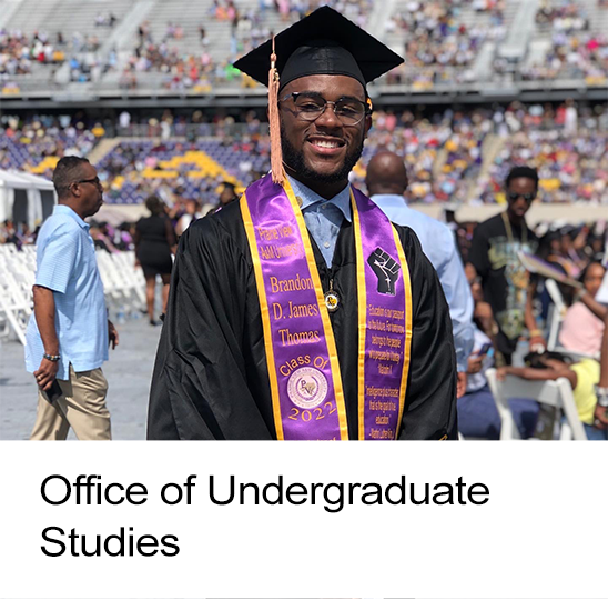 Office of Undergraduate Studies