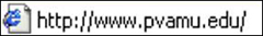 PV URL pvamuURL