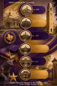 digital timeline flyer