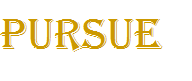 pursue