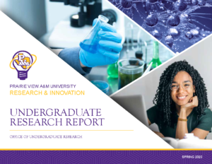 Front page cover of the Undergraduate Research Report