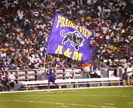 Cheer for PVAMU running of the flags