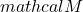 mathcal{M}