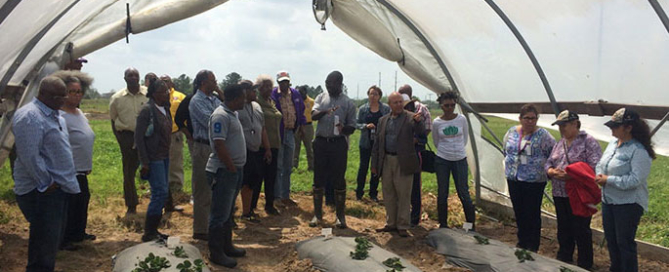 Ampim leads a Strawberry Workshop on March 26.