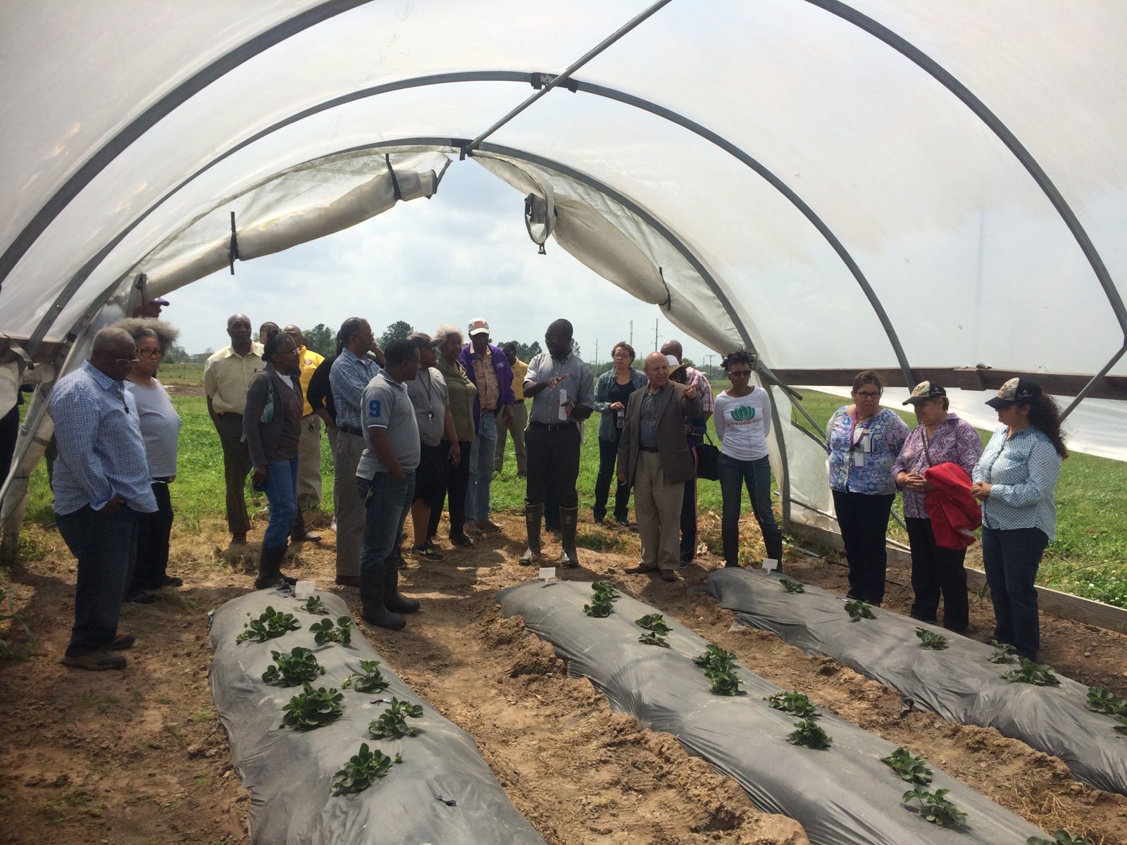 Ampim leads a Strawberry Workshop on March 26.