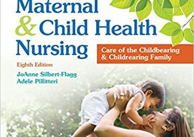 Nursing Professor Publishes Chapter