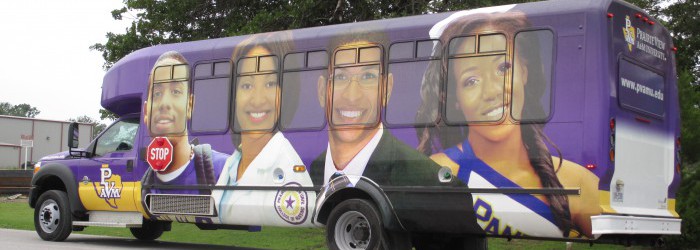 Purple 30 passenger Bus