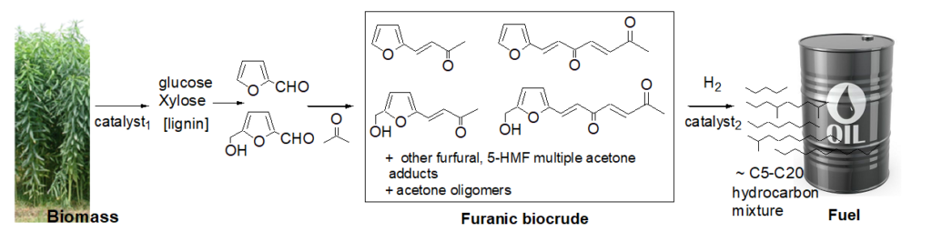 Furanic Biocrude Model