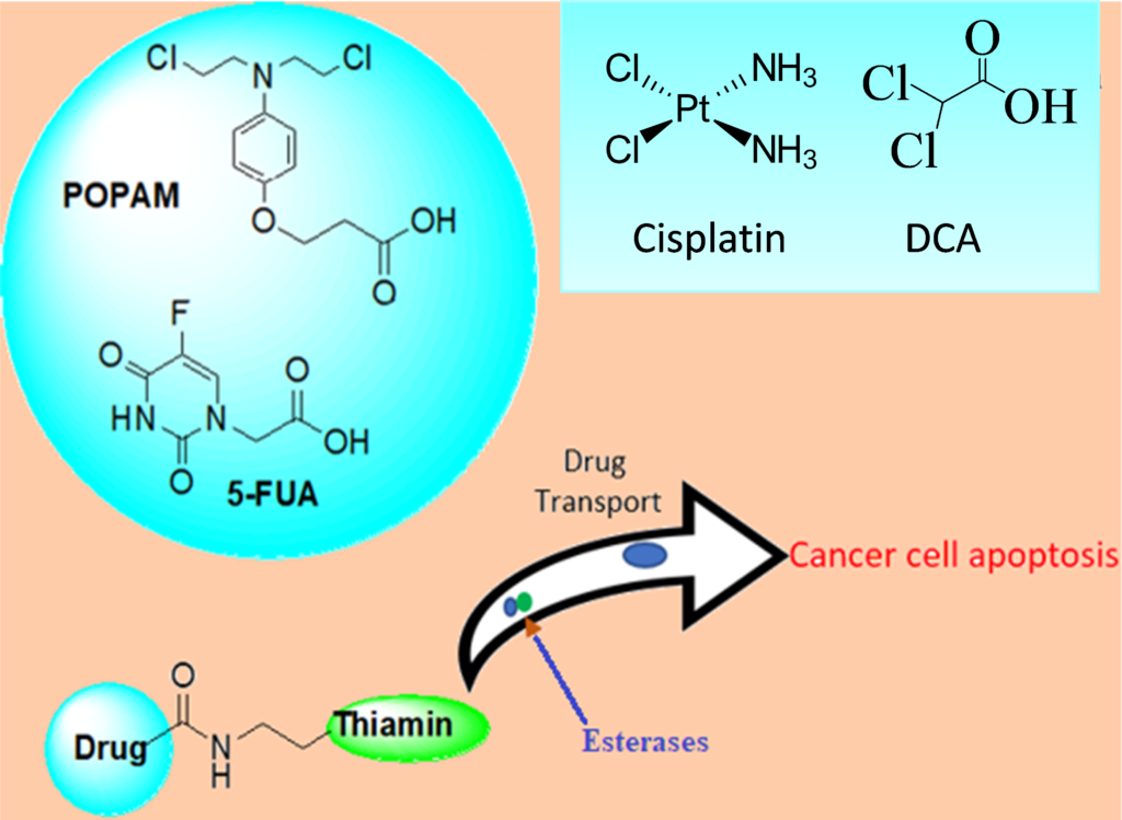 Diagram of chemical models