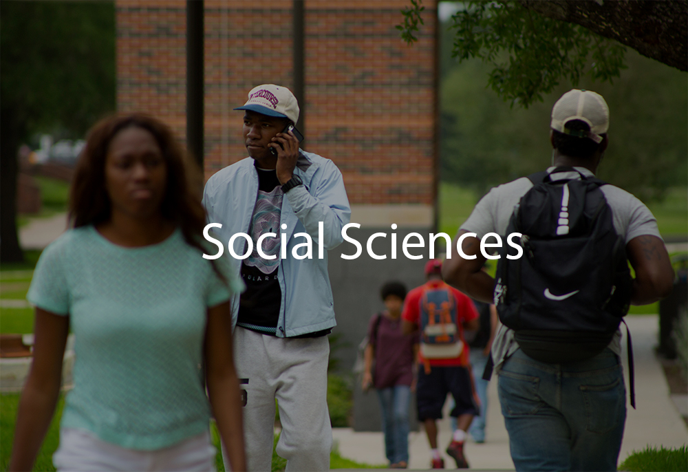 social work behavioral political sciences