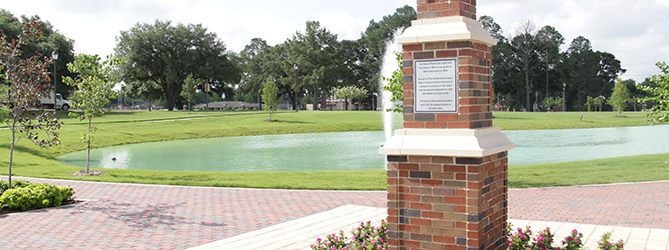 Phisical Plant Featured Image