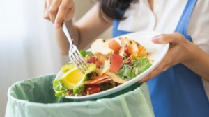 plateful of foods