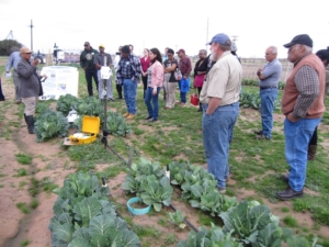 Dr. Ram Ray on the farm with workshop participants