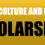 scholarship-graphic-copy