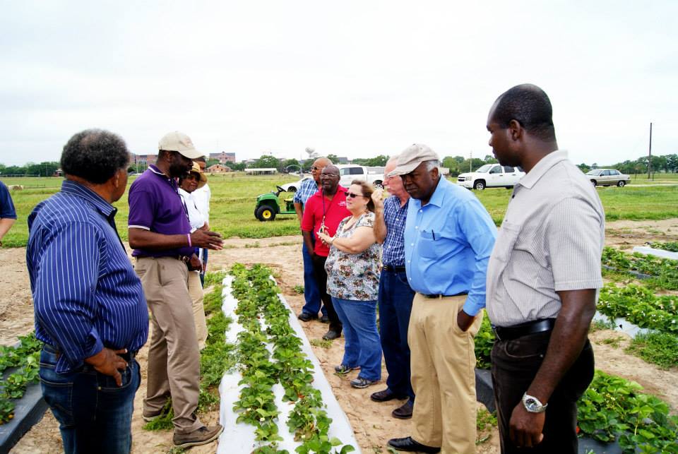 2014 Ag Field Day Group In Strawberry Field