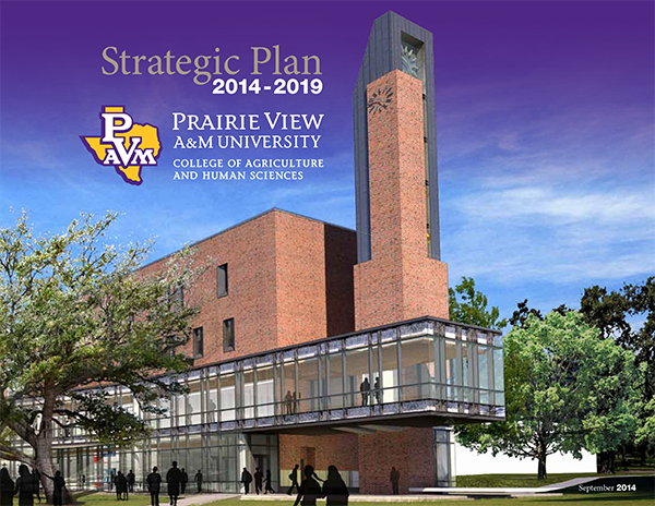 CAHS Strategic Plan e-pub cover