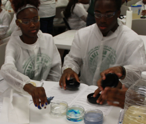 2017 Youth Leadership Laboratory Participants are engaged in a water pollution learning activity that focused on chemical change.