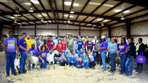 2018 Goat Fitting, Judging And Showing