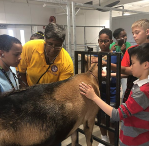 Participants from 2019 Jr. Youth Leadership Lab petting goats.