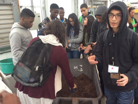 4 H Participants Conducting Soil Tests