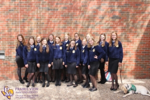 2018 FFA LDE