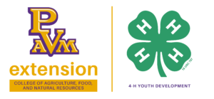 CAFNR Extension 4-H Logo