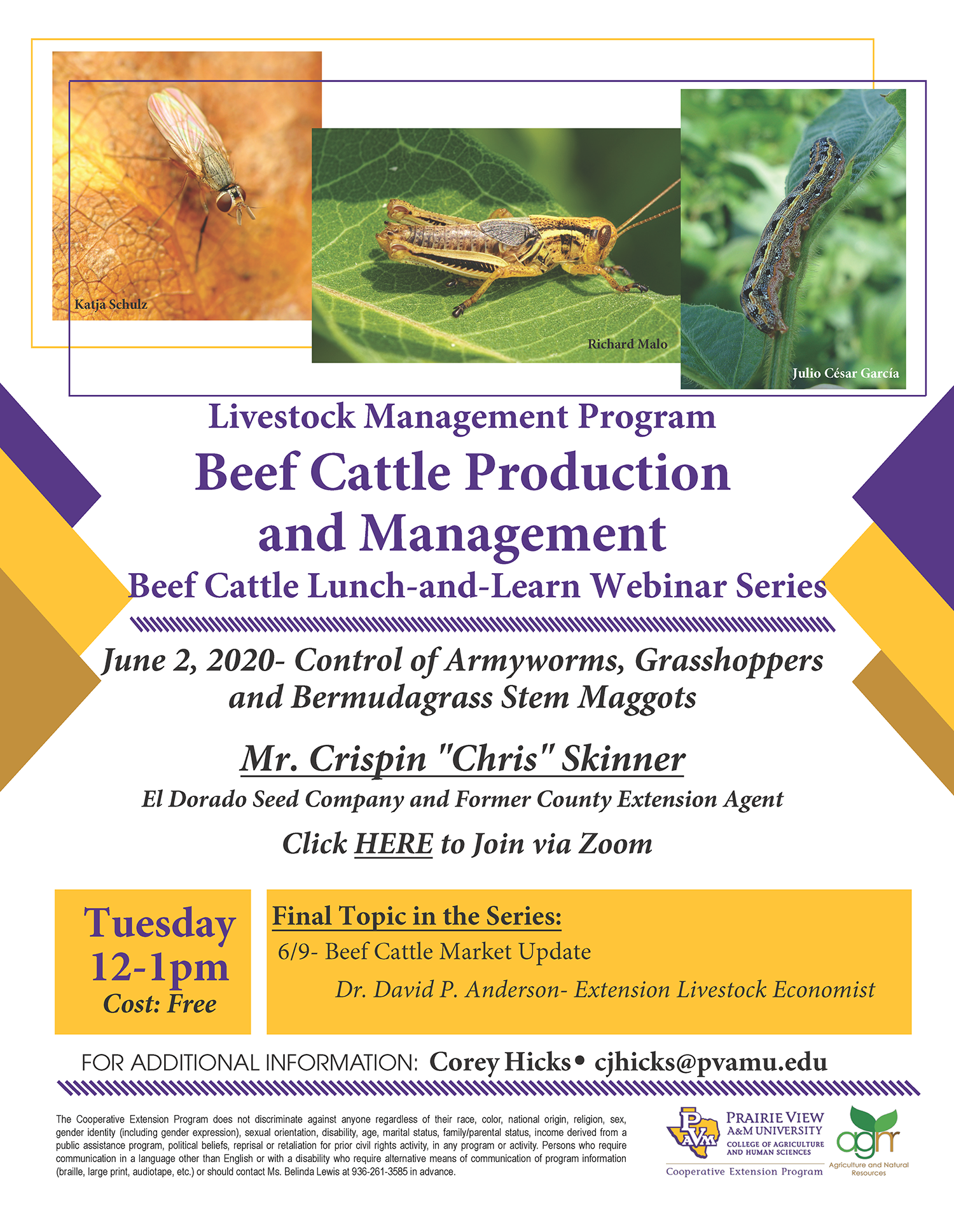 Beef Cattle Lunch-and-Learn Webinar Series flyer