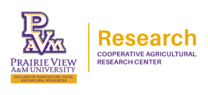 CAFNR Research Logo - Stacked