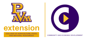 Extension CED Logo