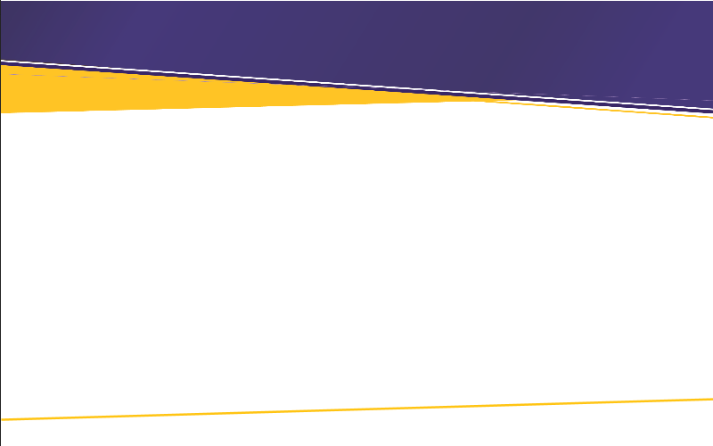 Corporate Option PowerPoint