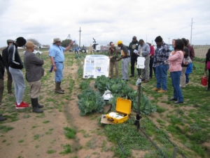 Leafy Greens Workshop