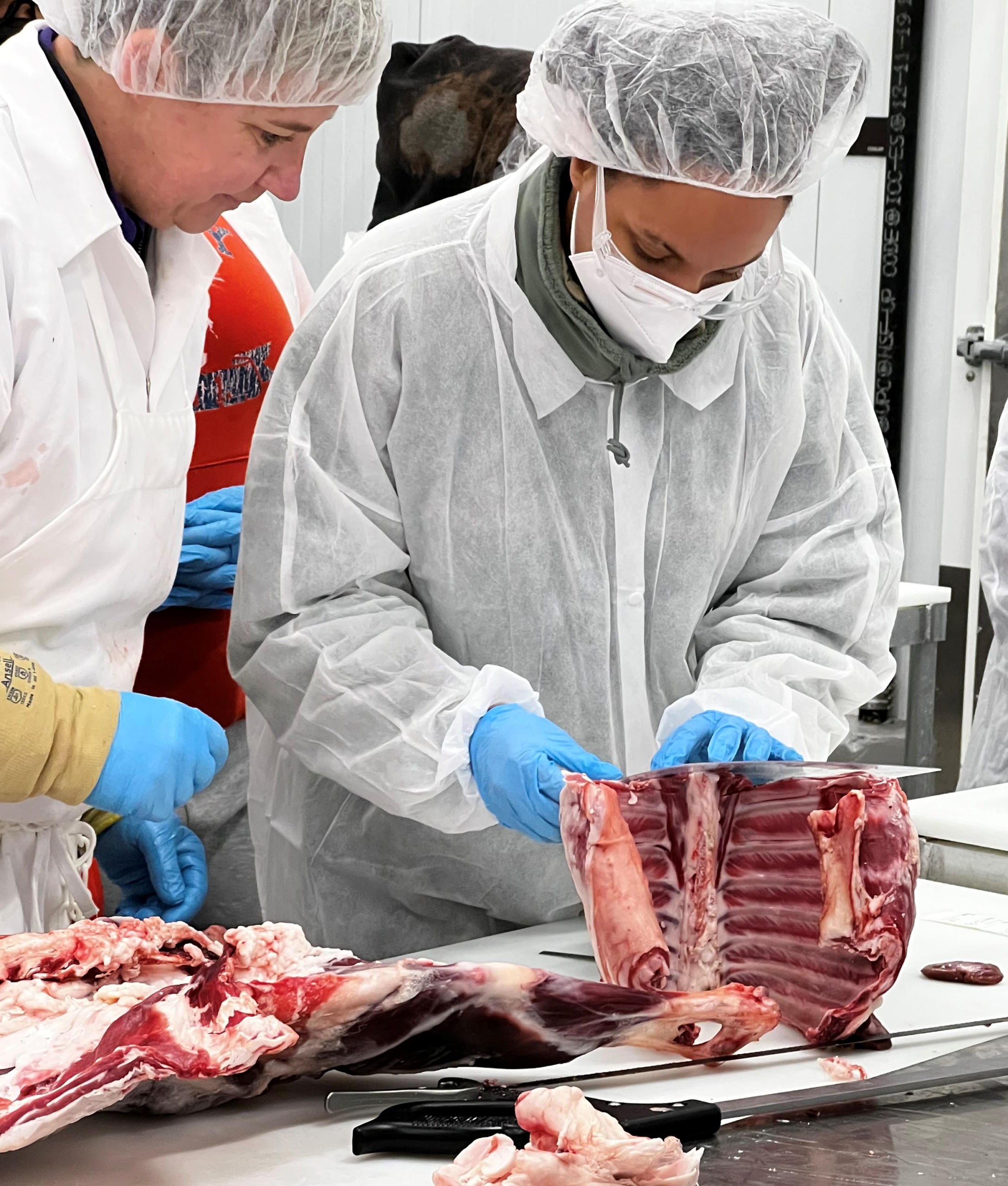 Meat Class Loin Eye Area
