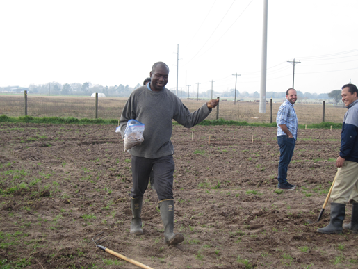 Peter Ampim, Research Scientist, is seeding one of the treatment plots