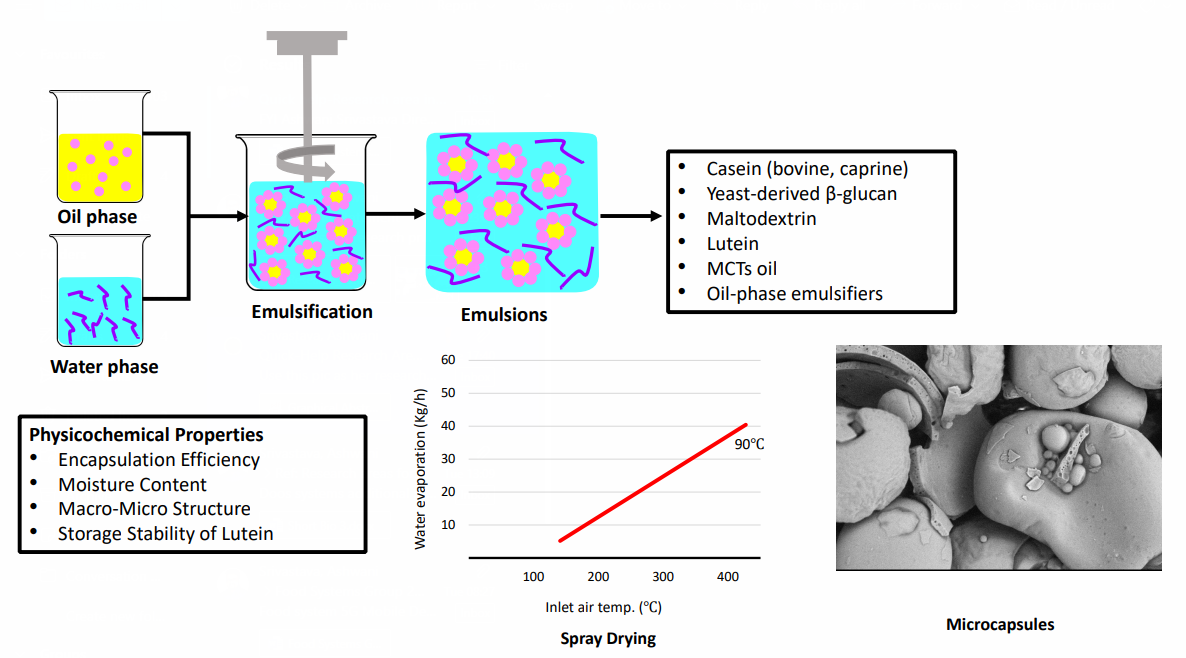 Spray Drying