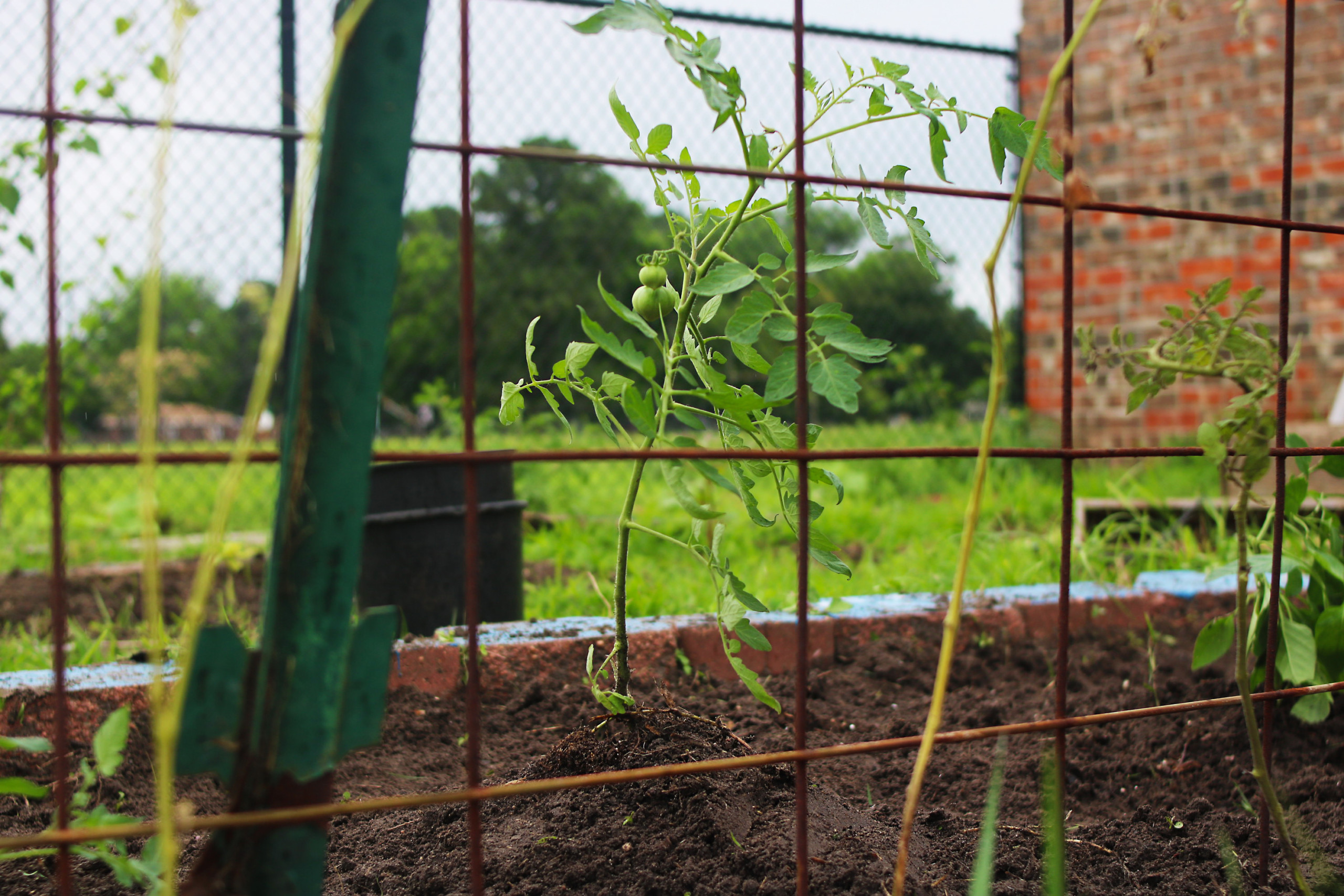Nutrient Management Education