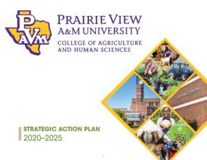 Cover page of the 2020 strategic plan