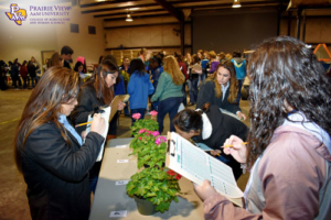 Students at 2018 FFA CDE during a horticulture contest